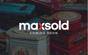 MaxSold Auction: 